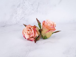 IMG_8380.jpg