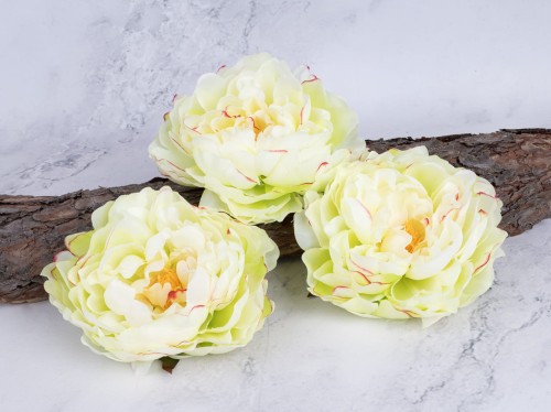 Peonia - Piwonia SN406  # Jasna Zieleń/Delikatny Krem-Lemon (12 szt) 