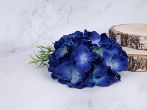IMG_8335.jpg