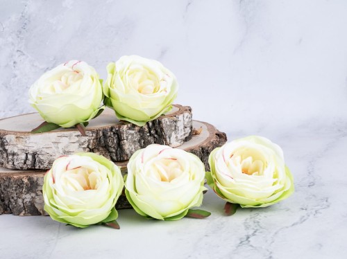 Róża Angielska 55VA # Zieleń/Jasny Lemon (12 szt)