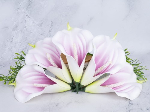 Calla Wyrobowa # Krem/Biskupi (24 szt)