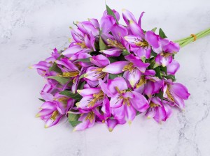 IMG_8550.jpg