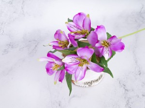 IMG_8559.jpg