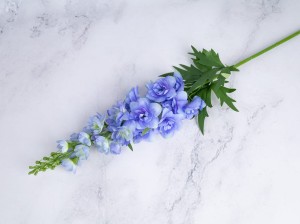 IMG_8575.jpg