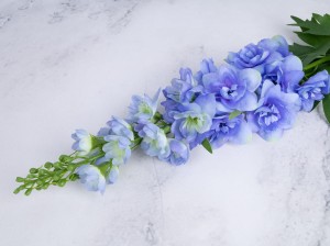 IMG_8576.jpg