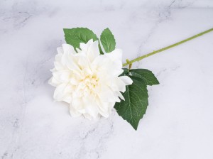 IMG_8590.jpg