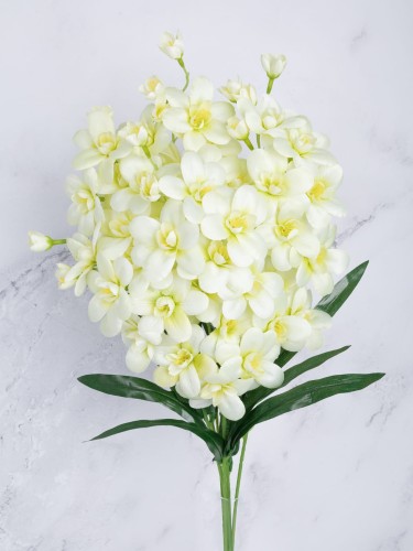 Storczyk Gałązka Cymbidium SC01 # Jasna ZIELEŃ (7 szt)
