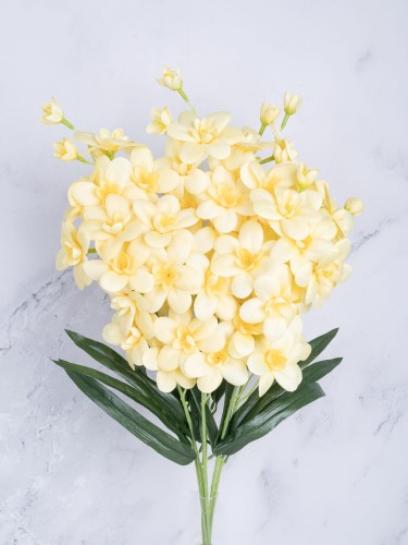 Storczyk Gałązka Cymbidium SC01 # Żółty Stonowany (7 szt)