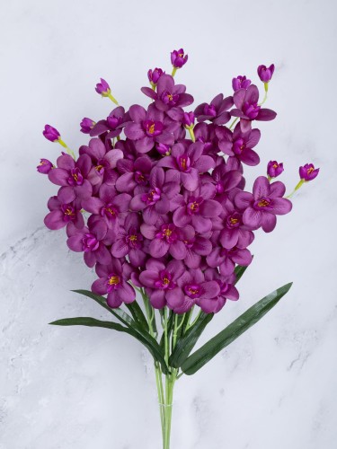 Storczyk Gałązka Cymbidium SC01 # Purpurowy (7 szt)