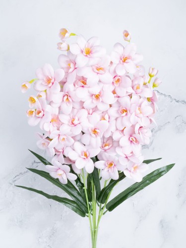 Storczyk Gałązka Cymbidium SC01 # Jasny Róż (7 szt)