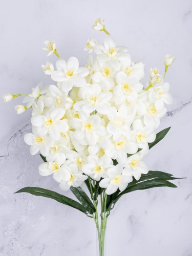 Storczyk Gałązka Cymbidium SC02 # KREM (7 szt)