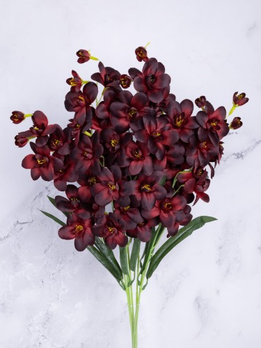 Storczyk Gałązka Cymbidium SC02 # Ciemne Bordo  (7 szt)