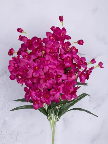 Storczyk Gałązka Cymbidium SC02 # Fuksja (7 szt)