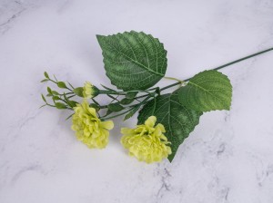 IMG_9146.jpg