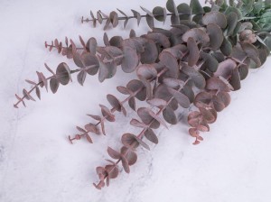 IMG_9224.jpg