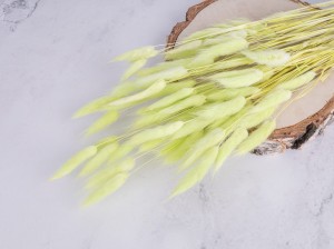 IMG_9348.jpg