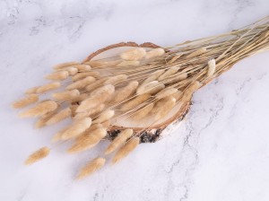 IMG_9344.jpg