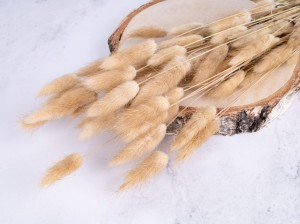 IMG_9341.jpg