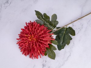 IMG_9418.jpg