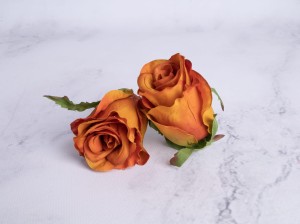 IMG_9575.jpg
