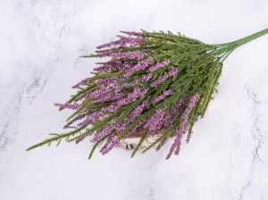 IMG_0194.jpg