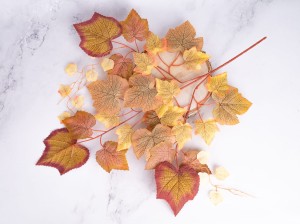 IMG_0227.jpg