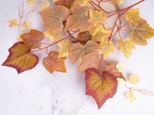 IMG_0228.jpg