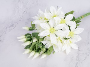 IMG_0268.jpg