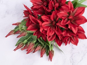 IMG_0267.jpg