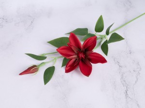 IMG_0274.jpg
