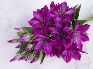 IMG_0264.jpg
