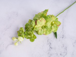 IMG_0329.jpg