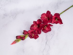 IMG_0351.jpg