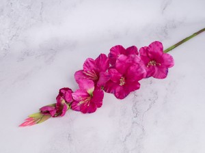 IMG_0358.jpg