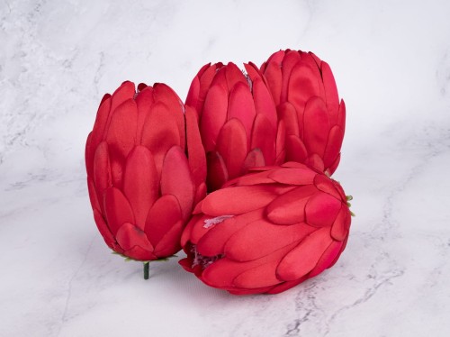 Karczoch/PROTEA Wyrobowa K29 # Czerwień/Rubin (6 szt)