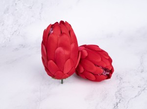 IMG_0052.jpg