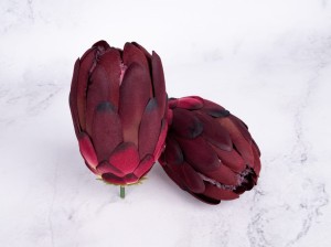 IMG_0077.jpg