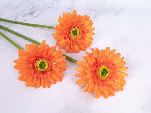 Gerbera Gałązka SG72 #  Pomarańcz*2055 (6 szt)