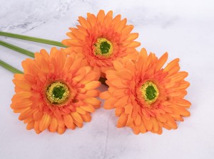 IMG_0493.jpg
