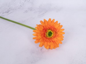 IMG_0494.jpg