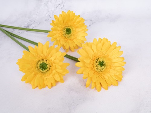 Gerbera Gałązka SG72 # Żółty*2161 (6 szt)