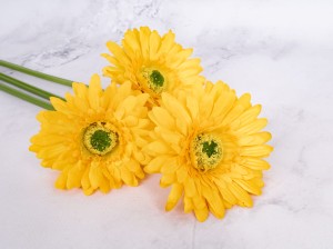 IMG_0491.jpg