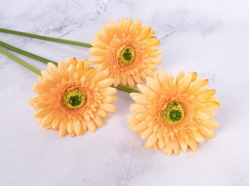Gerbera Gałązka SG72 # Pastelowy Pomarańcz*24 (6 szt)