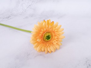 IMG_0498.jpg