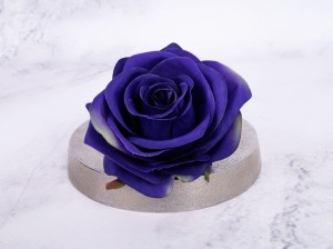 IMG_0457.jpg
