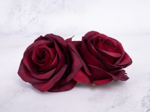 IMG_0465.jpg