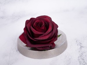 IMG_0454.jpg