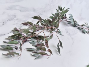 (1094).JPG