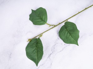 IMG_0793.jpg