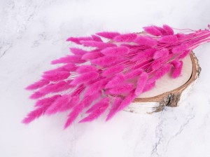 IMG_0912.jpg